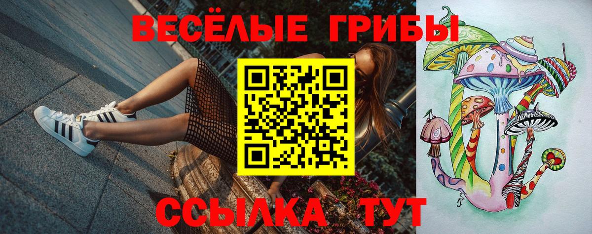 Галлюциногенные грибы MAGIC MUSHROOMS  Вход с VPN  Осинники 